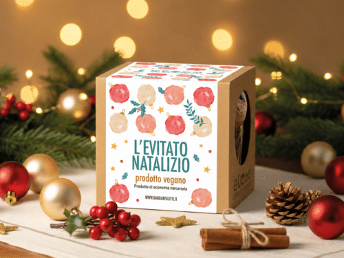 L'Evitato Natalizio VEGAN con uvetta e canditi di arancia - 750g